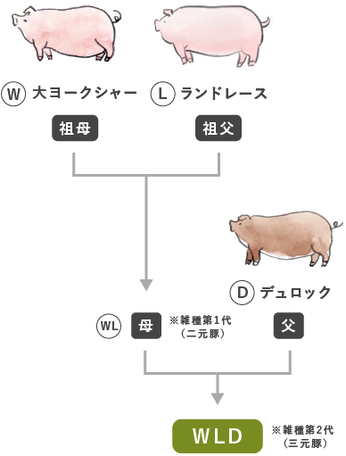point 1