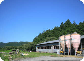 のどかな畜舎