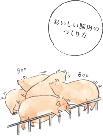 intro-img
